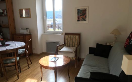 APPARTEMENT 2 PIECES CABINE – CENTRE VILLAGE