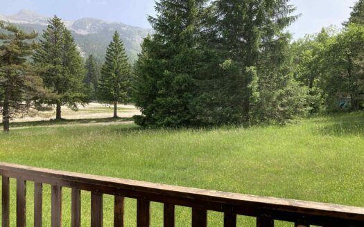 Studio avec vue montagne aux pieds des pistes