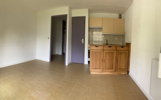 STUDIO CABINE – LANS EN VERCORS – CENTRE VILLAGE