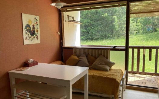 Studio avec vue montagne aux pieds des pistes